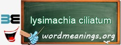 WordMeaning blackboard for lysimachia ciliatum